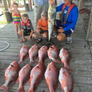 Red Snapper 2016